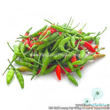 Ớt xi&ecirc;m