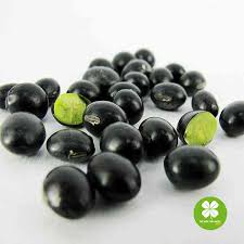 Đậu đen xanh l&ograve;ng